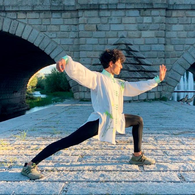 CLASES-DE-TAICHI-madrid-rio-artes-marciales-madrid