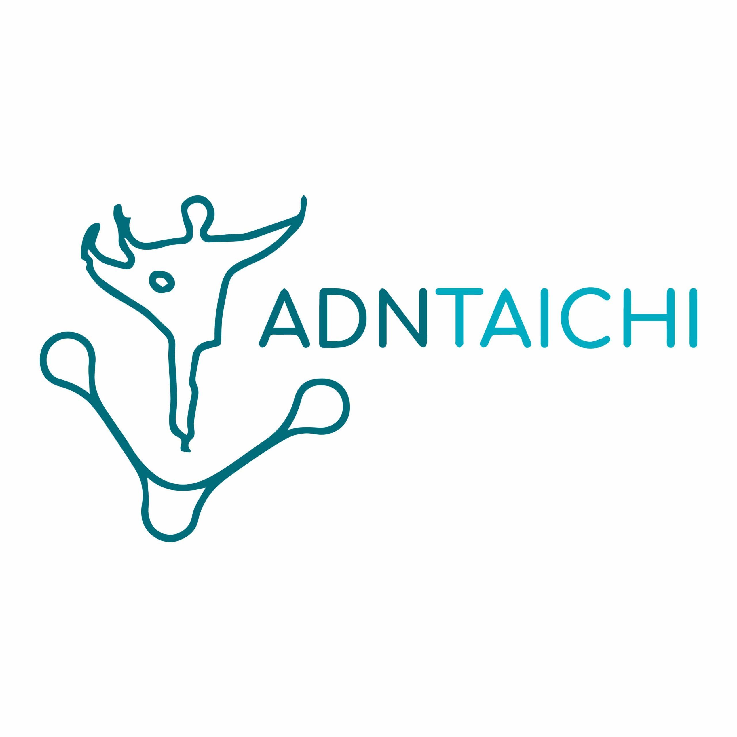 clases de Tai Chi y Qigong