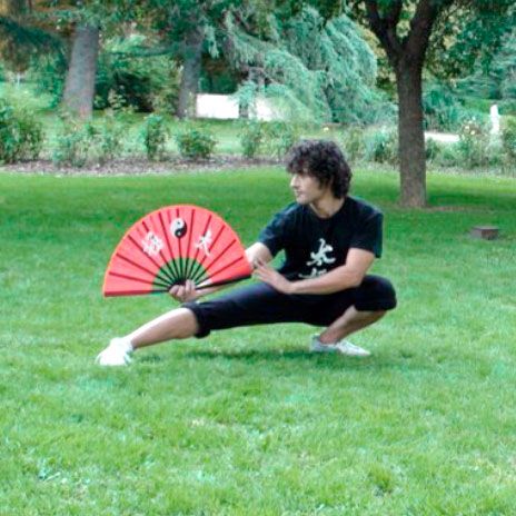 clases-de-tai-chi-madrid-rio-y-pozuelo-.