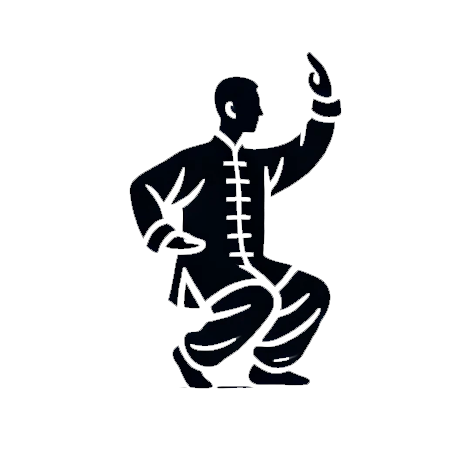 tai-chi-madrid-